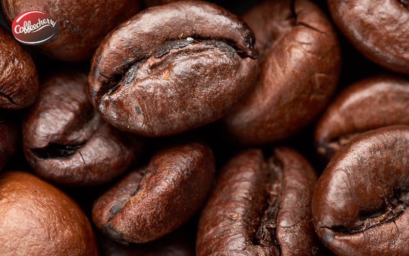 5-diem-noi-bat-ca-phe-fine-robusta-duoc-ua-chuong-2
