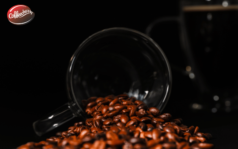 Robusta-Culi-Arabica-Culi-loai-nao-ngon-hon-1