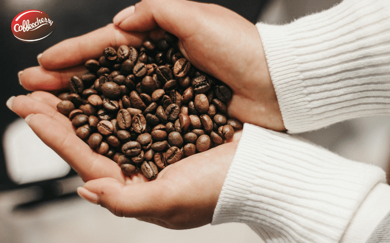 ca-phe-robusta-fine-khac-gi-so-voi-robusta-thuong-4