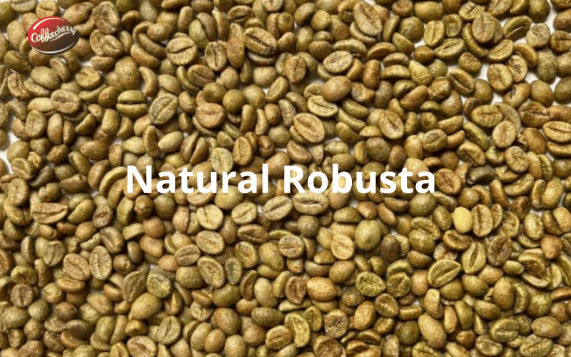 ca-phe-robusta-natural-robusta-washed-robusta-khac-nhau-the-nao