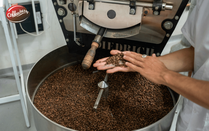 ca-phe-robusta-phu-hop-voi-nhung-ai-gu-nao-phu-hop-1