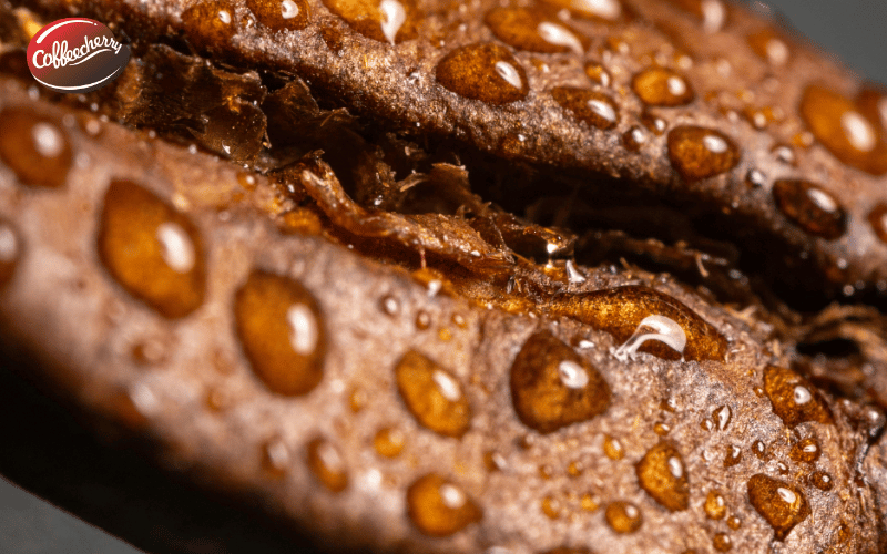 ca-phe-voi-la-gi-vi-sao-viet-nam-la-thu-phu-cua-robusta-1