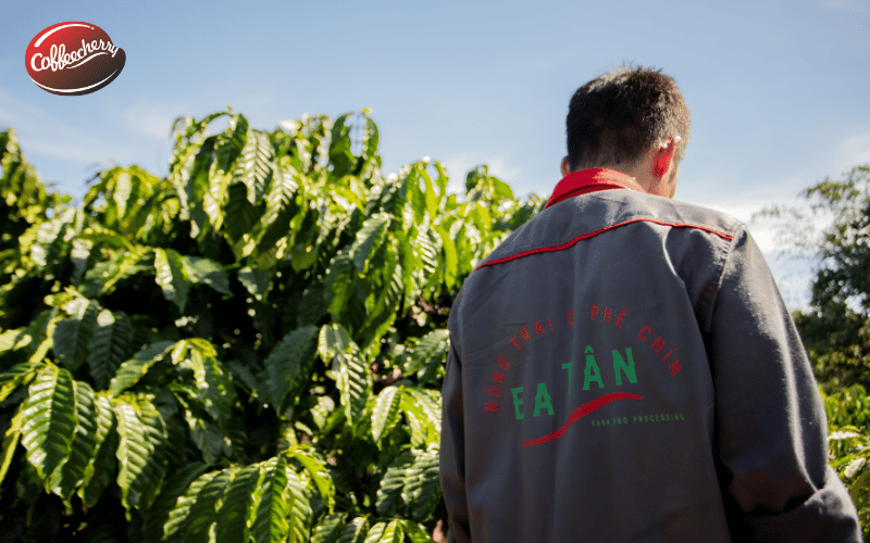 kham-pha-hanh-trinh-fine-robusta-cung-coffeecherry-3