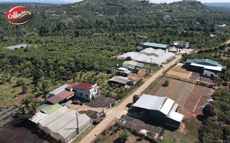 kham-pha-hanh-trinh-fine-robusta-cung-coffeecherry-4