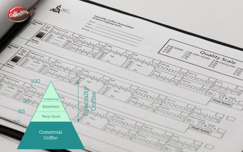 khi-nao-ca-phe-nguyen-chat-robusta-duoc-goi-la-fine-robusta-9
