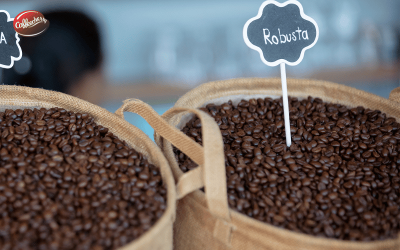 khi-nao-ca-phe-nguyen-chat-robusta-duoc-goi-la-fine-robusta