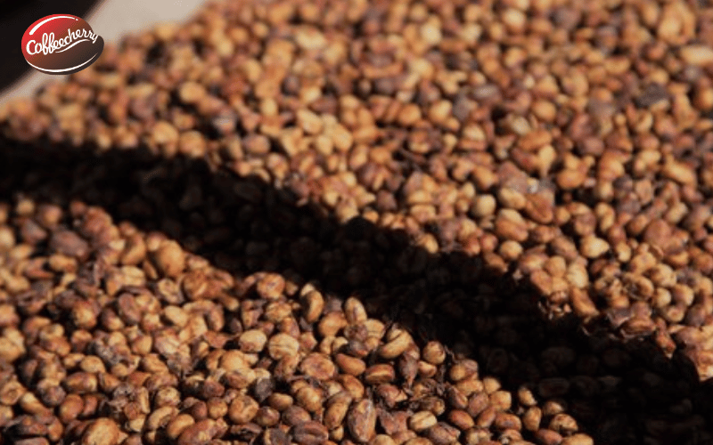 sai-lam-thuong-gap-khi-hieu-ve-ca-phe-Robusta-Honey-2