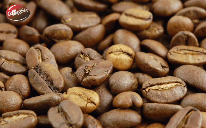 sai-lam-thuong-gap-khi-hieu-ve-ca-phe-Robusta-Honey-3