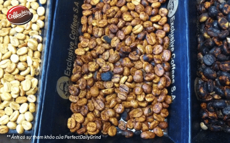 sai-lam-ve-phuong-phap-che-bien-ca-phe-honey-3