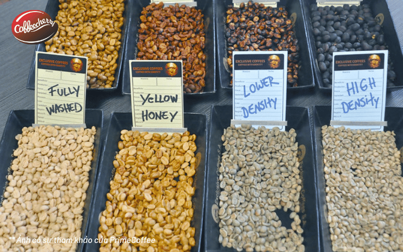 sai-lam-ve-phuong-phap-che-bien-ca-phe-honey-4