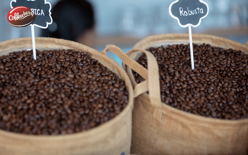 vi-sao-barista-chon-fine-robusta-cho-ca-phe-espresso-1