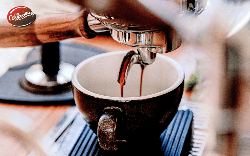 vi-sao-barista-chon-fine-robusta-cho-ca-phe-espresso-2