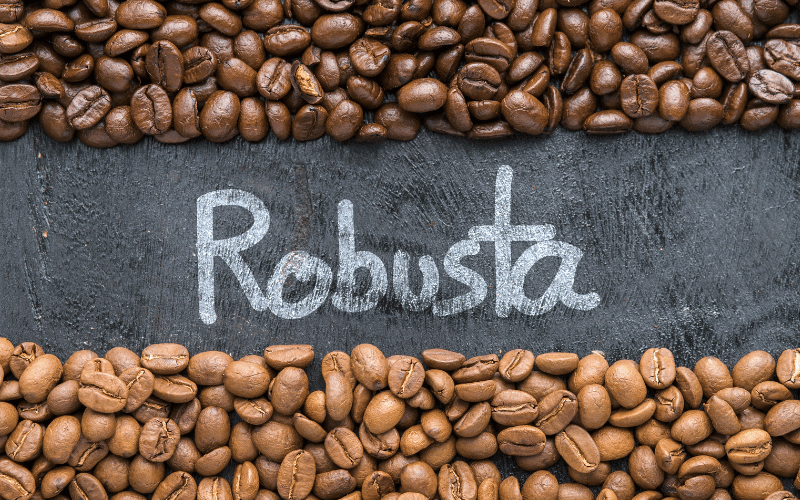 vi-sao-ca-phe-robusta-dang-troi-day-va-duoc-ua-chuong-toan-cau-3