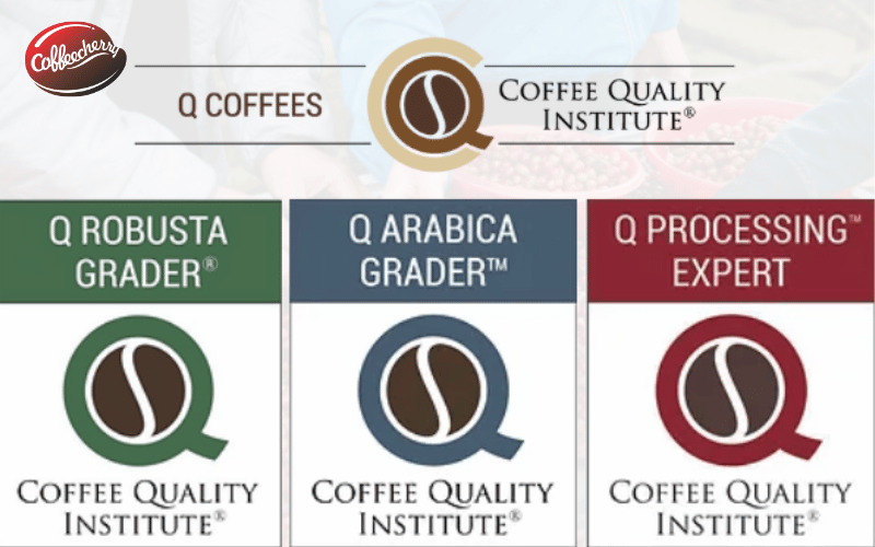 vien-cqi-la-gi-thay-doi-quan-trong-nam-2025-1