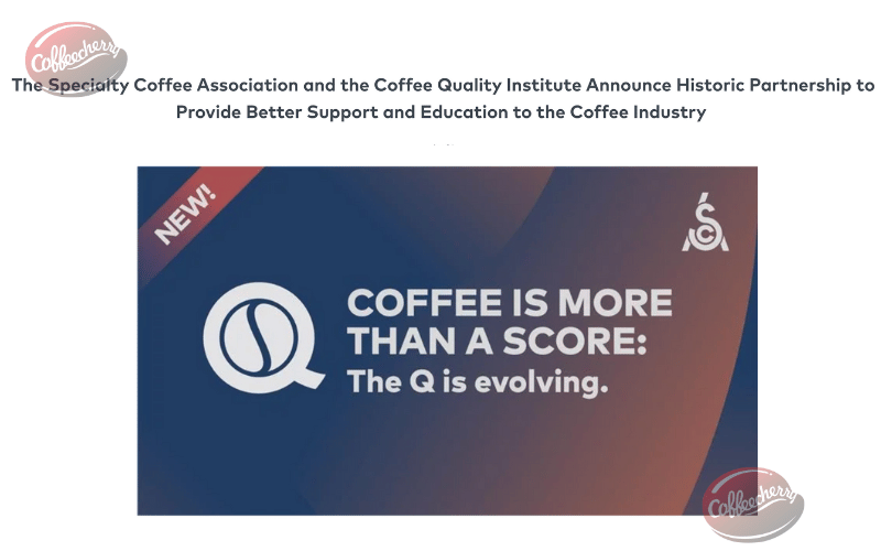 vien-cqi-la-gi-thay-doi-quan-trong-nam-2025-2