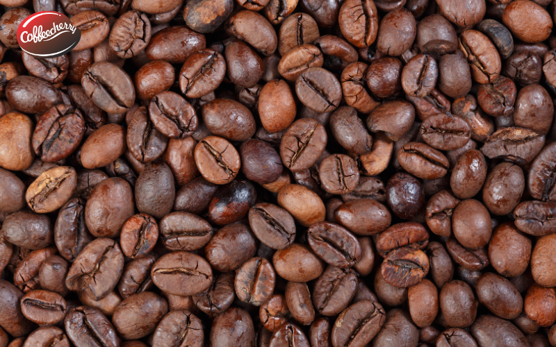 3 cách tập vị khi chuyển từ cà phê tẩm sang cà phê nguyên chất