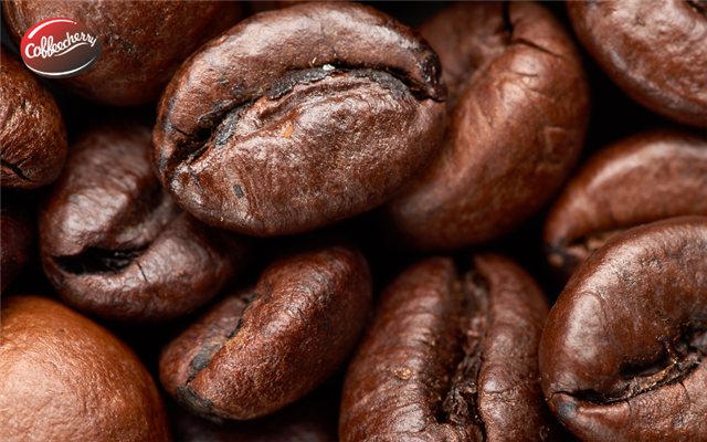 5 điểm nổi bật khiến cà phê Fine Robusta ngày càng được người uống ưa chuộng
