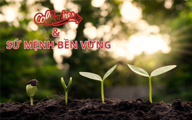 Coffeecherry và sứ mệnh bền vững trong hành trình kinh doanh ngành cà phê Việt Nam 