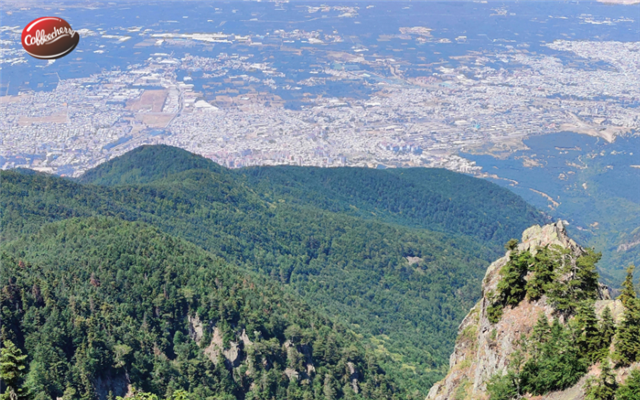 Ảnh hưởng của độ cao đến hương vị Cà phê robusta