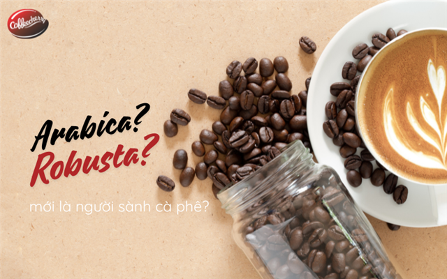 Cà phê Arabica và Robusta: Lựa chọn nào cho người sành?