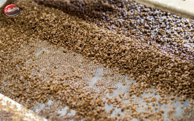 Cà phê lên men là gì? Vì sao đang trở thành xu hướng specialty?