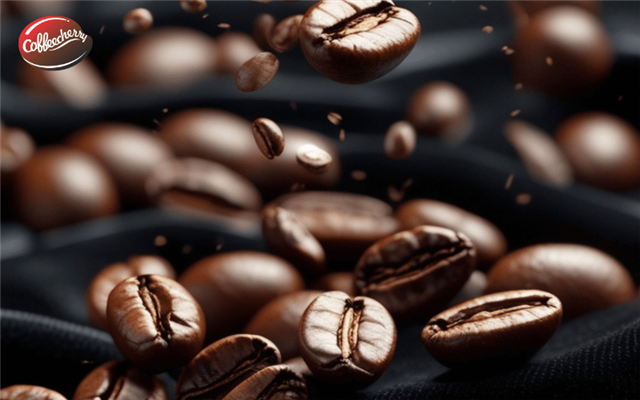 Cà phê nguyên chất - Hương vị đích thực qua khẩu vị vùng miền