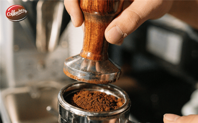 Cà phê Robusta phù hợp với những ai? Gu vị nào sẽ thích Robusta?