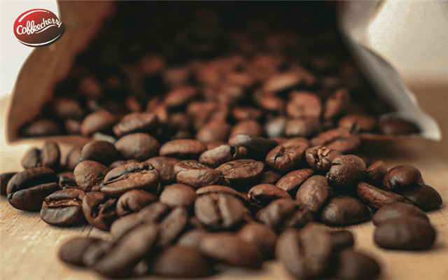 Cà phê vối là gì? Vì sao Việt Nam là thủ phủ của Robusta?