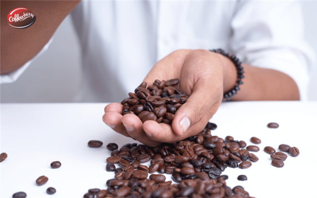 Cách chọn Cà phê nguyên chất phù hợp gu đậm nhưng không gắt