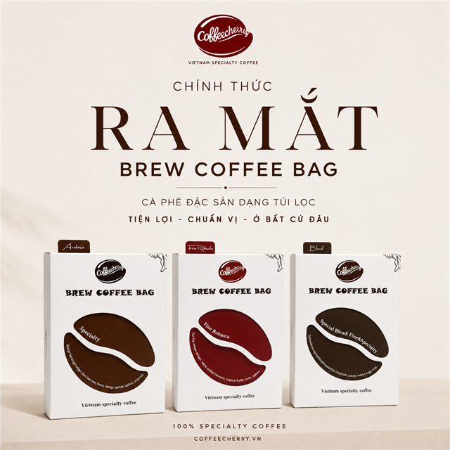 Chính thức ra mắt Coffeecherry Brew Coffee Bag