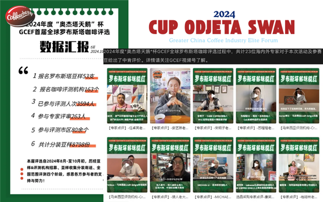 Coffeecherry giành nhiều giải thưởng tại Cup Odjeta Swan 2024