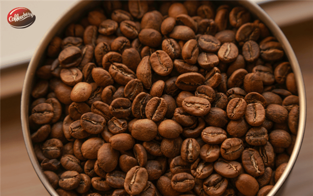 Đâu là lý do giúp Cà phê robusta phù hợp khí hậu Việt Nam?