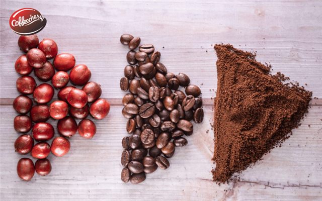 Đâu là sự khác biệt của Coffee Cherry vs Coffee Bean? 