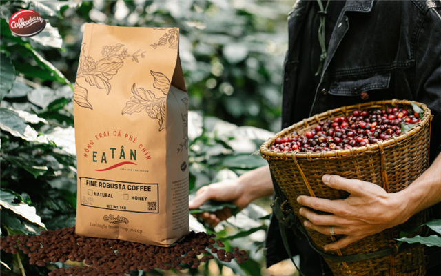 Fine Robusta lên ngôi: Sự đánh giá lại về giá trị và chất lượng