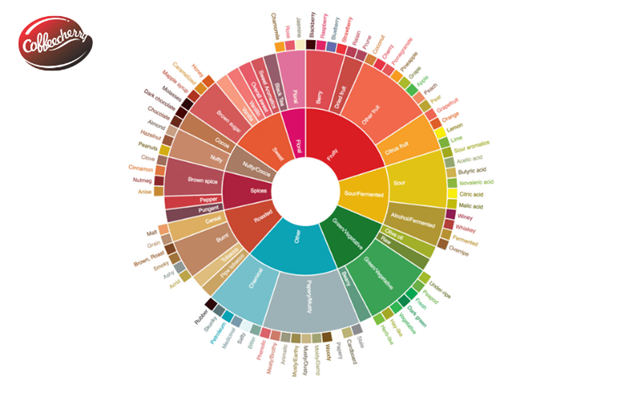 Hướng dẫn đọc vòng tròn hương vị Cà Phê nguyên chất cho người yêu Cà Phê Việt