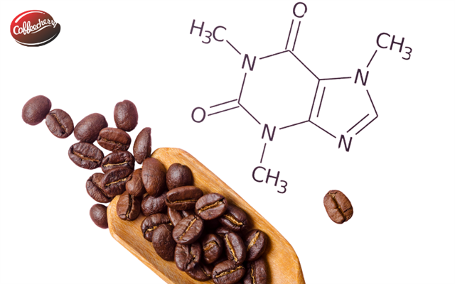 Mức độ caffeine trong cà phê là bao nhiêu?