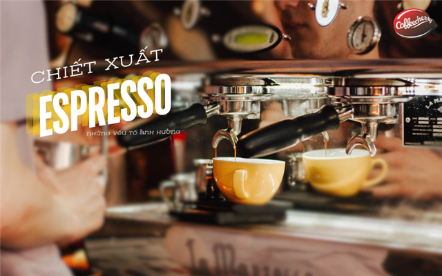 Yếu tố nào ảnh hưởng đến chiết xuất Espresso? 