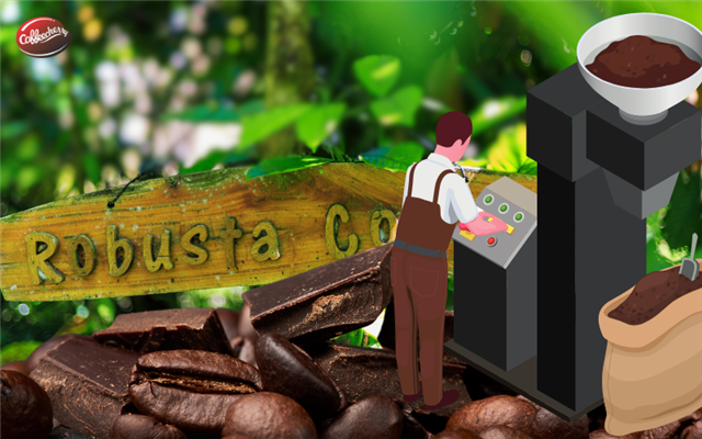 Robusta: Rang cà phê nhanh hay rang chậm để thăng hoa hương vị? 