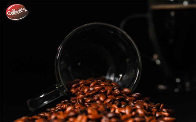 Robusta Culi và Arabica Culi: loại nào ngon hơn?