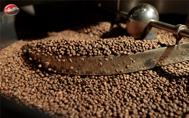 Robusta Việt Nam liệu có vượt lên so với cà phê Arabica? 