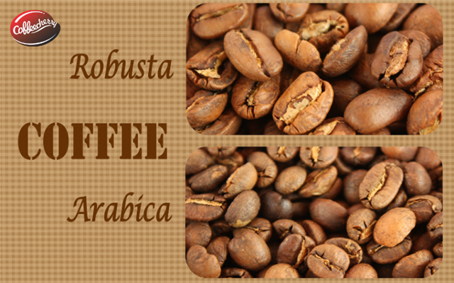 Arabica vs Robusta: Sự khác biệt giữa hai loại cà phê hàng đầu