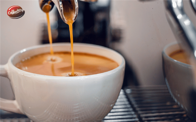 Top 5 cách lựa chọn Cà Phê Nguyên Chất phù hợp cho quán và người dùng