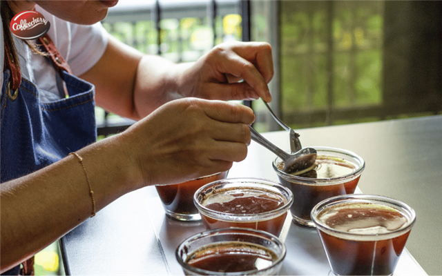 Vì sao Cà phê nguyên chất không cần hương liệu vẫn thơm?
